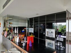SilverSea (D15), Condominium #565240641
